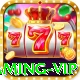 888boa - Gaming VIP