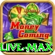 yyee Live Max